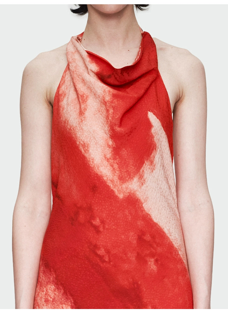 Red Print Backless Dress